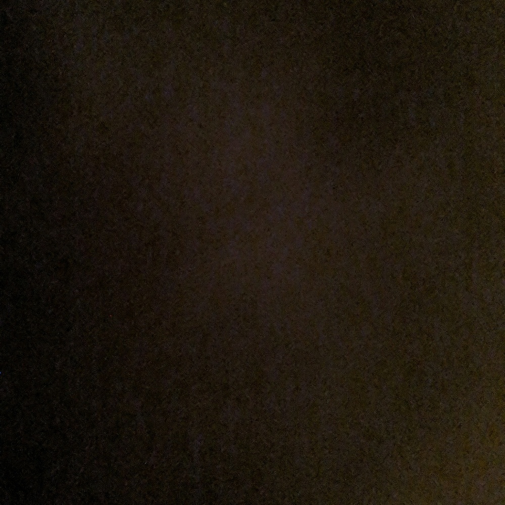 Meet your Posher, Clara